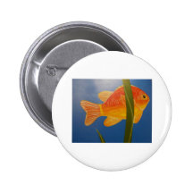 Orang MIG en fisk II Knapp