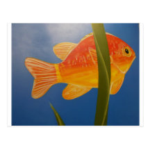 Orang MIG en fisk II Vykort