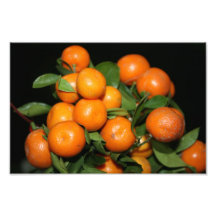 Orangar Fotokonst