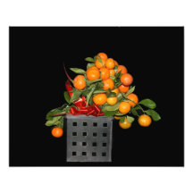 Orangar Fototryck