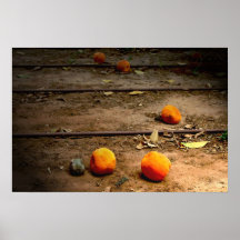 Orangar - kanfas affischer