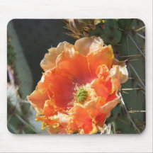 Orange blomma för Prickly Pear Mus Matta