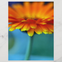 Orange blomma personliga flygblad