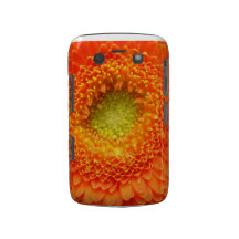 Orange blommablackberry fodral