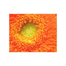Orange blommakanvastryck