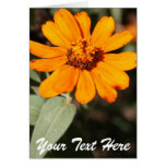 Orange blommamall kort