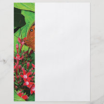 Orange fjäril på röda Kalanchoe Flygblad Designs