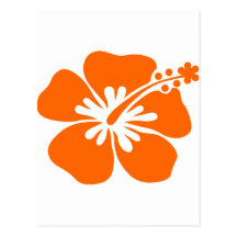 Orange hibiskusblomma vykort