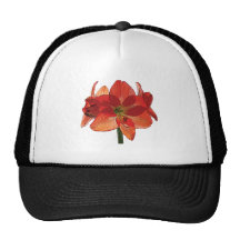 Orange Hippeastrum Amaryllis Trucker Keps