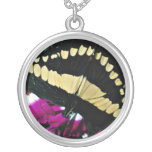 Orange hund, Central America blommor Anpassningsbar Halsband