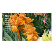 Orange Irises Visitkort Mallar