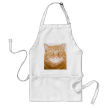 Orange katt förkläde