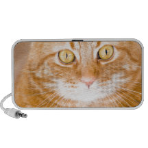 Orange katt mini högtalare