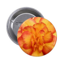 Orange Knapp