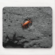 Orange krabba musmattor