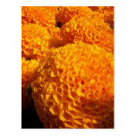 Orange Puffvykort
