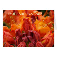 Orange Rhodie för LEDARSKAPUTMÄRKTHETkort kort