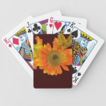 Orange solros som leker kort spel kort