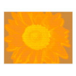 Orange solros vykort
