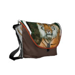 Orange tigermessenger bag