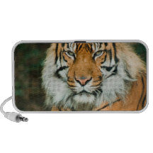 Orange tigerPortablehögtalare