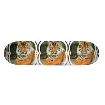 Orange tigerSkateboard