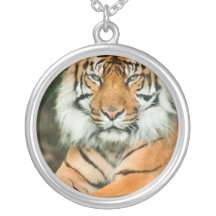 Orange tigersterling silverhalsband
