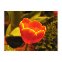 Orange tulpaninbjudan