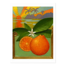 Orangevykort
