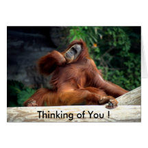 orangUtan som är tänkande av dig! Hälsnings Kort
