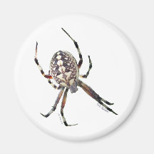 Orbspindel Magneter