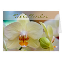 Orchid •, Bordkort