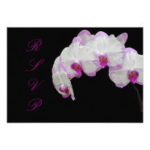 Orchid/fuschia för PixDezines osamal Anpassade Tillkännagivande