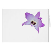 orchid hälsningskort