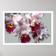 Orchid i grå färg, affisch