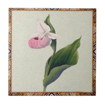 Orchid Keramiska Plattor