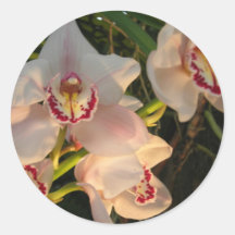 Orchid Klistermärken