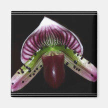 Orchid Kylskåpsnagnet