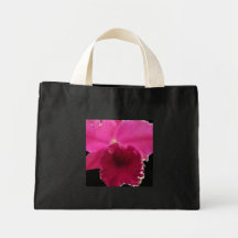 Orchid på svart kassar
