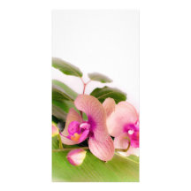 orchid pink photocartes