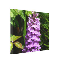 Orchid - sträckt kanfas canvastryck