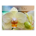 Orchid •, Tacka dig vykortet