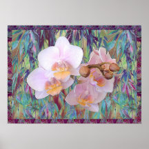 Orchiden regnar affischer