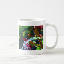 Orchidkaktus 3 muggar