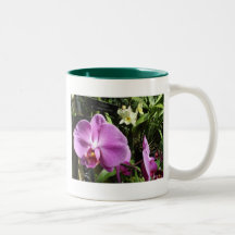 OrchidOrchidmugg