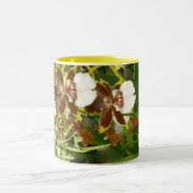 Orchids för Tea eller kaffe Kaffe Muggar