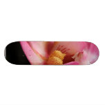 Orchids planterar blommor skate board deck