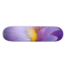 Orchids Skateboard Decks