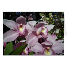 Orchids som är tänkande av dig hälsningskort