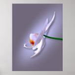 Orchidsida Posters